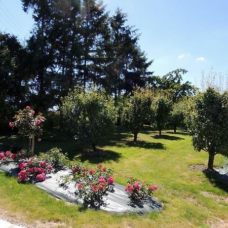 Bed and Breakfast Les Stiers Chance Exterior foto