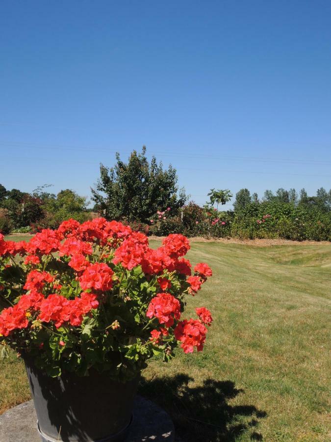 Bed and Breakfast Les Stiers Chance Exterior foto